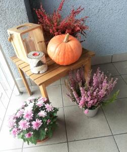 Fotografia z galérie ubytovania Apartamenty Koci Ogon Toruni