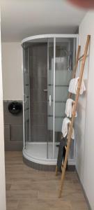 ein Bad mit einer Dusche und einer Leiter mit Handtüchern in der Unterkunft Le Grand Cerf in Nonancourt