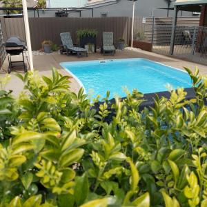 una piscina en un patio con algunas plantas en Country Mile Motor Inn, en Forbes