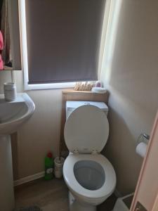 a small bathroom with a white toilet and a sink at The orchards holiday home in Clacton-on-Sea