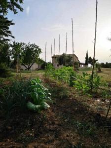 Jardín al aire libre en Casa rural restaurante Mas Del Rei