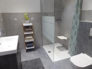 ein Bad mit einer Dusche, einem WC und einem Waschbecken in der Unterkunft Apart 55 in Sölden