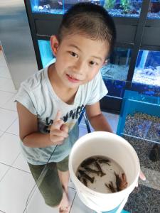 Hosté ubytování Fish House 宜蘭獨棟別墅 戲水池 生態DIY 安農溪自行車