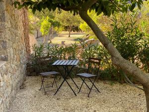 ein Picknicktisch und zwei Stühle unter einem Baum in der Unterkunft Mirabó de Valldemossa in Valldemossa