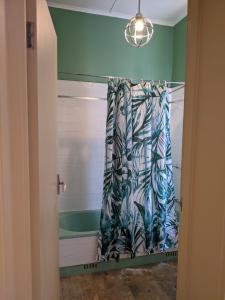 ワガワガにあるSuper cute accomm close to CBDの緑の壁のバスルーム(シャワーカーテン付)