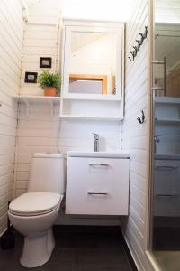 ein Badezimmer mit einem WC, einem Waschbecken und einem Spiegel in der Unterkunft Riverside Lodge with breathtaking view in Kirkjubæjarklaustur