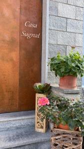 a couple of potted plants sitting in front of a door at Loft incantevole Casa Sugnat in Novello