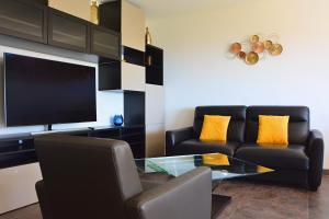 sala de estar con 2 sofás y TV de pantalla plana en Le Plein Ciel, en Niza