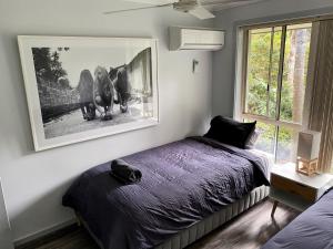 Ảnh trong thư viện ảnh của Superb Villa in Beach Resort ở Coffs Harbour