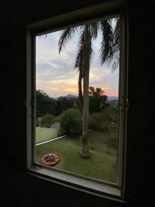 een raam met uitzicht op een palmboom bij Recanto da Tuca in Socorro