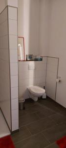 een witte badkamer met een toilet en een spiegel bij Ferienwohnung Matzibarg in Ahrenviöl