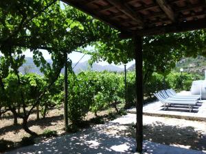 A garden outside Il Vigneto "Cottage"