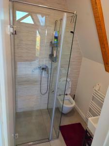 Koupelna v ubytování Fruska