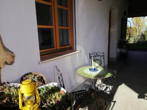 eine Terrasse mit einem Tisch und einigen Pflanzen und einem Fenster in der Unterkunft Ferienwohnung Jahnel in Waging am See