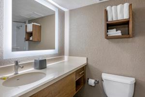 a bathroom with a toilet, sink, and mirror at Staybridge Suites - Orlando Royale Parc Suites, an IHG Hotel in Orlando