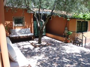 un patio con un sofá y un árbol en Il Vigneto "Cottage", en Gaggi