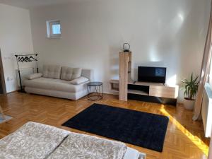 TV a/nebo společenská místnost v ubytování Apartman Sunny