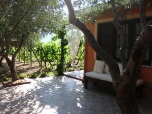 A garden outside Il Vigneto "Cottage"