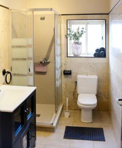 ein Bad mit einer Dusche, einem WC und einem Waschbecken in der Unterkunft Azul añil EL PATIO Casa rural en Alameda in Alameda