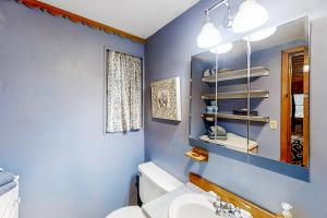 a bathroom with blue walls and a toilet and a sink at Backcountry Bungalow in Joseph +6 photos