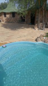 une grande piscine d'eau bleue devant une maison dans l'établissement casa hobbit Puente Genil, à Puente-Genil