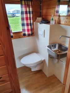 
a bathroom with a toilet and a sink at Höfn Cottages in Höfn
