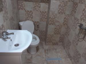 łazienka z toaletą i umywalką w obiekcie Pensiunea Casa Roman w mieście Tălmăcel