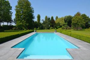 ein großer blauer Swimmingpool in einem Garten in der Unterkunft Moleneinde 10 in Weelde