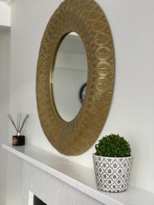 a mirror on a mantle with a potted plant at The Bakehouse in Kelso