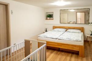 una camera da letto con un letto e uno specchio di Apartmán u Jiříka a Poděbrady