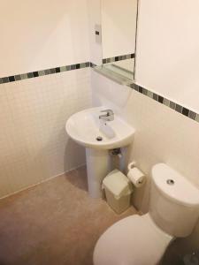 a bathroom with a white toilet and a sink at ochiltree apartment in Glasgow