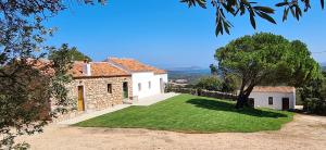 a white house with a tree and a yard at Lettu di Ita - Spectacular Gallura Stazzu with sea view and pool in Santa Teresa Gallura