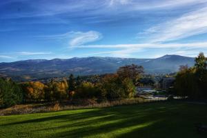 a green field with mountains in the background at Apartament Kolorowy in Szklarska Poręba