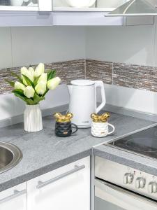 Eldhús eða eldhúskrókur á Apartman Nina II