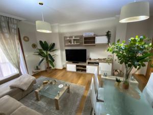 Televízia a/alebo spoločenská miestnosť v ubytovaní Apartamento Centro Ciudad Pontevedra