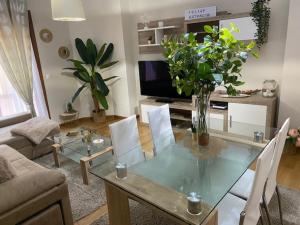 Televízia a/alebo spoločenská miestnosť v ubytovaní Apartamento Centro Ciudad Pontevedra