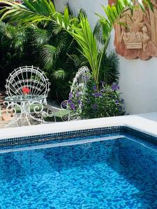 a blue swimming pool with a table and chairs and plants at The Quetzal in Cancún