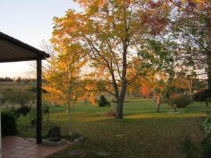 a park with trees and a gazebo at Pilmaiquen in Riachuelo