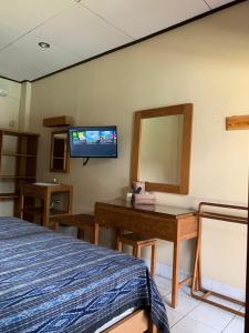 Televisi dan/atau pusat hiburan di Prambanan Guesthouse