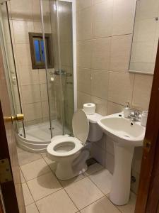 La salle de bains est pourvue de toilettes, d'une douche et d'un lavabo. dans l'établissement Cabañas La Travesía, à Choshuenco