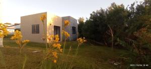 una casa blanca con flores amarillas en el patio en Arazá, en Cuchilla Alta
