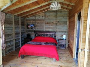 Postel nebo postele na pokoji v ubytování Cabaña San Martin