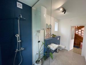 a bathroom with a glass shower and a sink at Cilka`s house, authentic homestay near Lipica in Sežana