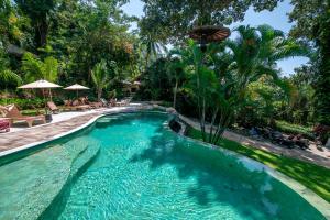 Bazén v ubytování Oasis Koh Chang nebo v jeho okolí + 37 fotografií