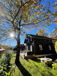 a black house with a tree and a toilet in the grass at s´Manz in Grundlsee