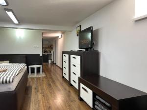 TV a/nebo společenská místnost v ubytování Avantgarde Apartment Zobor