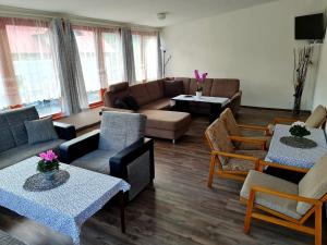 伊澤拉河畔亞布洛內茨的住宿－Penzion u vleku，客厅配有沙发和桌椅