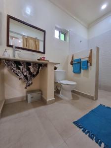 a bathroom with a toilet and a sink and a mirror at Tamaru House Bungalow with Patio in Nungwi