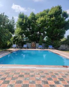 una piscina con sedie e un albero di Lohana Village Resort a Pushkar