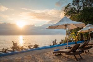 einen Strand mit zwei Stühlen und einem Sonnenschirm und dem Meer in der Unterkunft Moja Tuu The Luxury villas & Nature Retreat in Kiwengwa